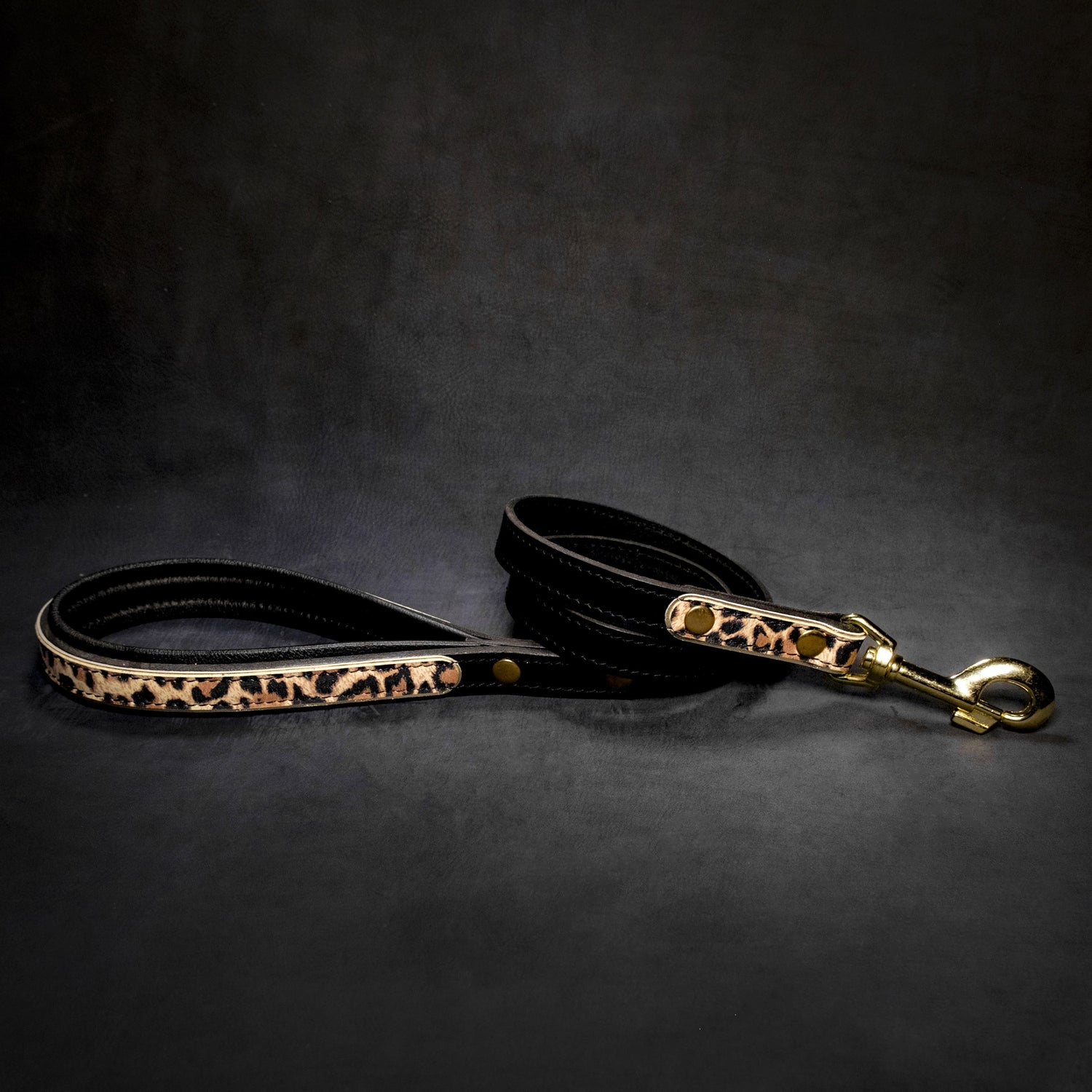 Dog Leashes