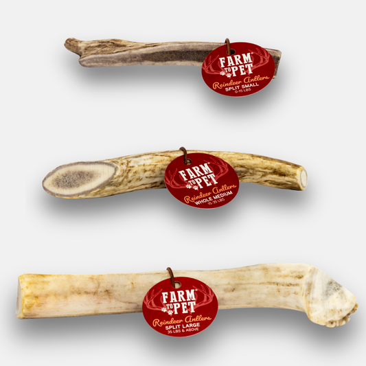 Marquise Pup | Wild Alaskan Reindeer Antler Chews