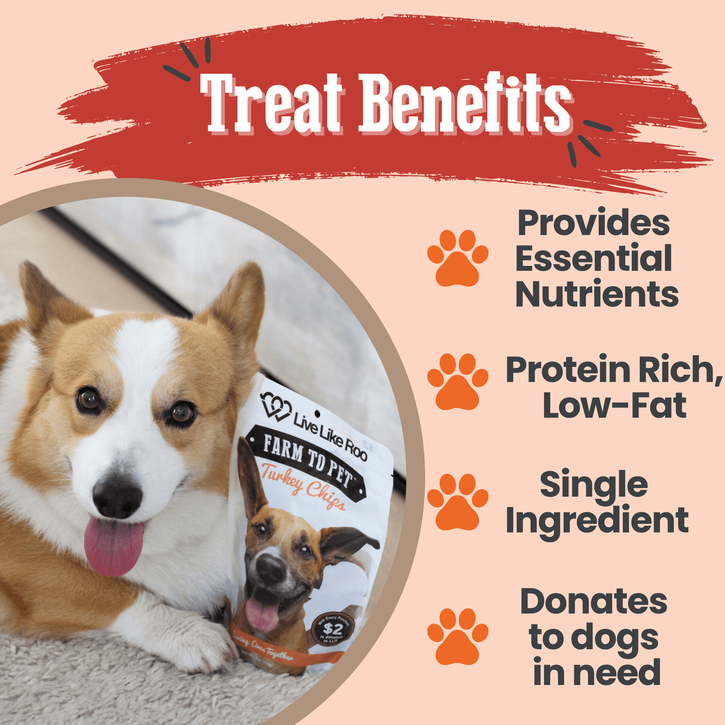 Marquise Pup | Live Like Roo Turkey Chips — Treats That Give Back