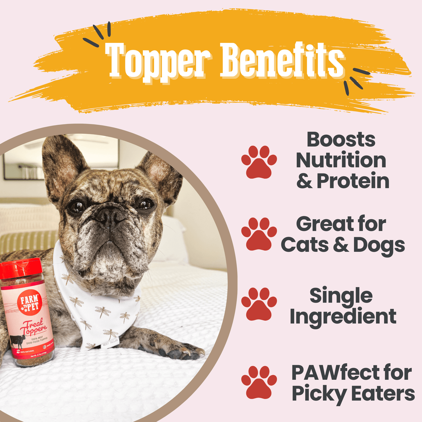 Marquise Pup | Pure Beef Meal Topper — Powdered Protein for Dogs & Cats