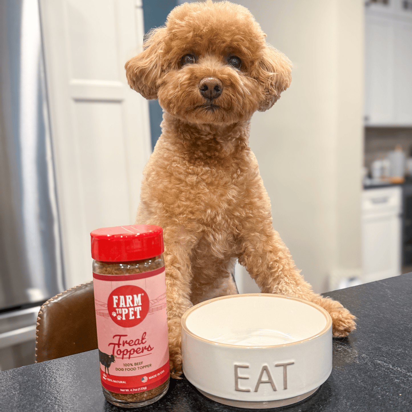 Marquise Pup | Pure Beef Meal Topper — Powdered Protein for Dogs & Cats