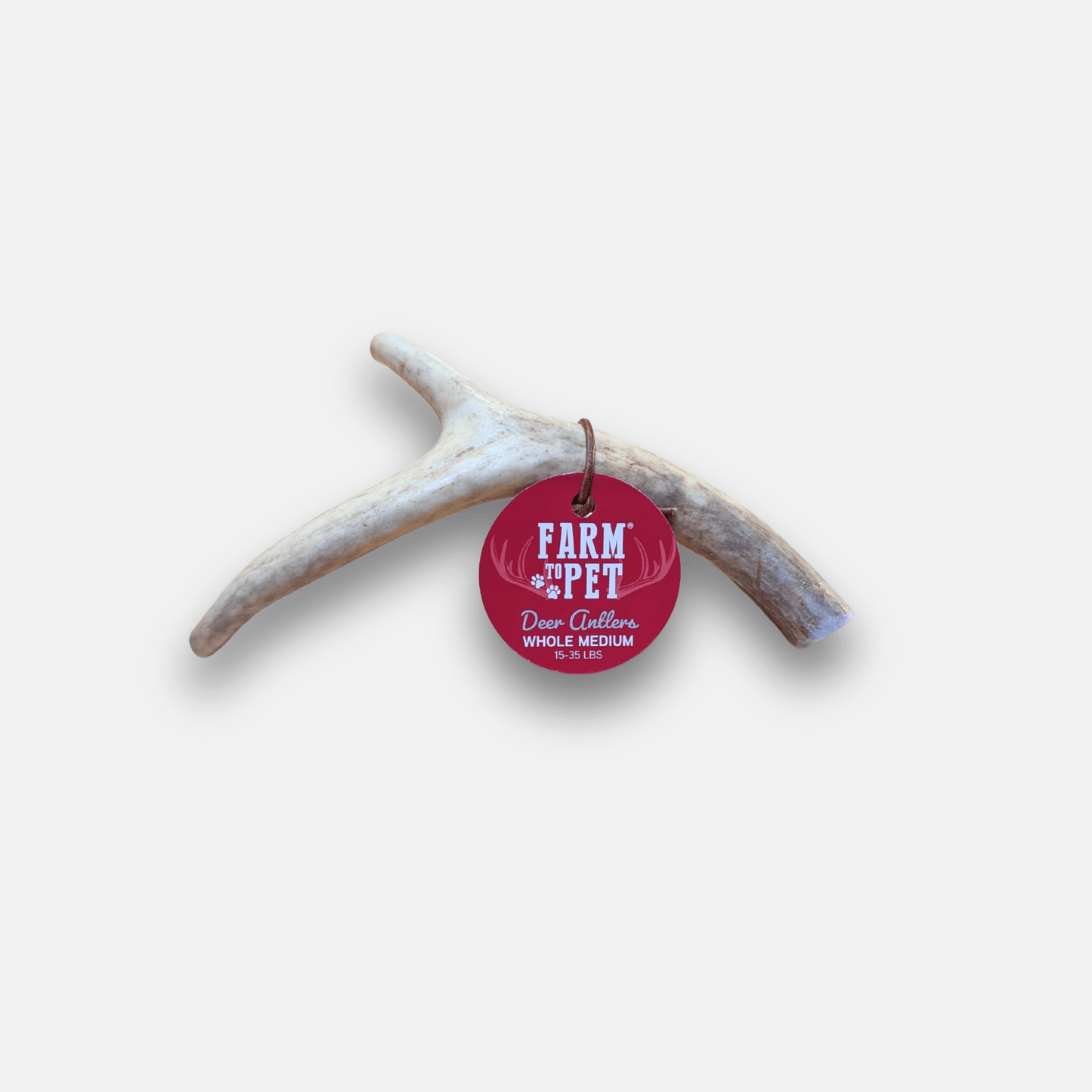 Marquise Pup | Wild Whitetail Deer Antler Chews