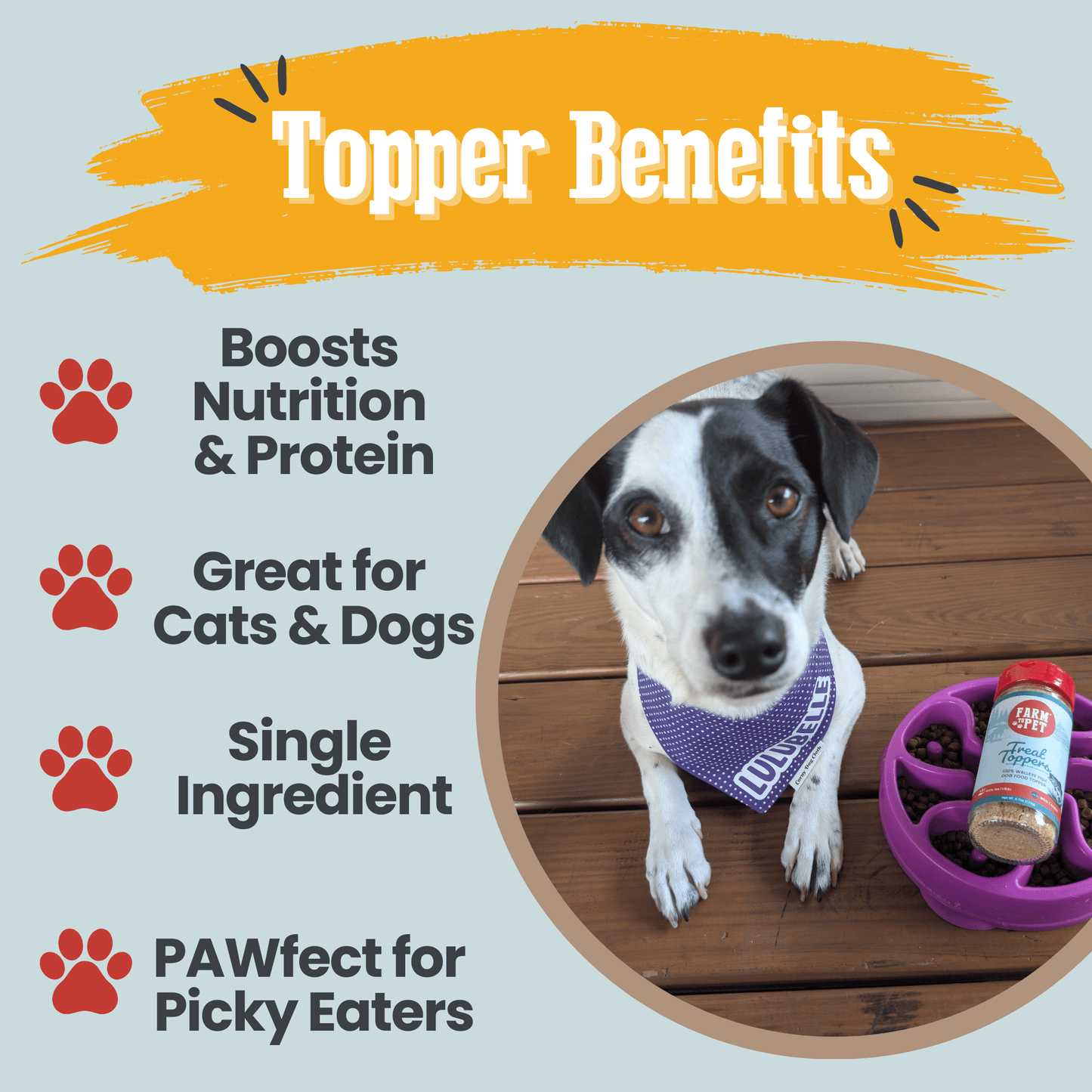 Marquise Pup | Wild-Caught Walleye Fish Meal Topper — Powdered Protein for Dogs & Cats