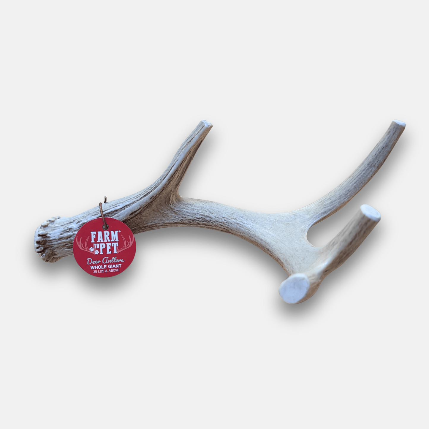 Marquise Pup | Wild Whitetail Deer Antler Chews