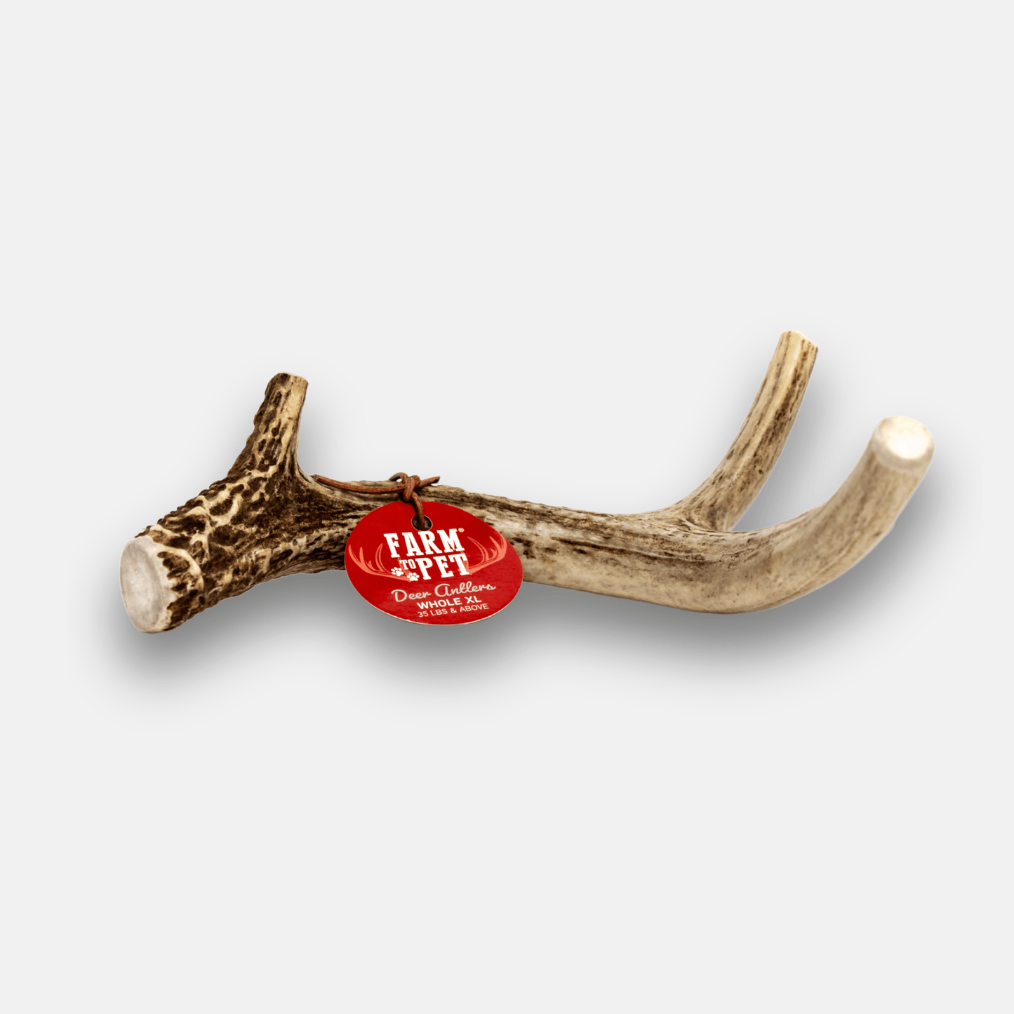 Marquise Pup | Wild Whitetail Deer Antler Chews