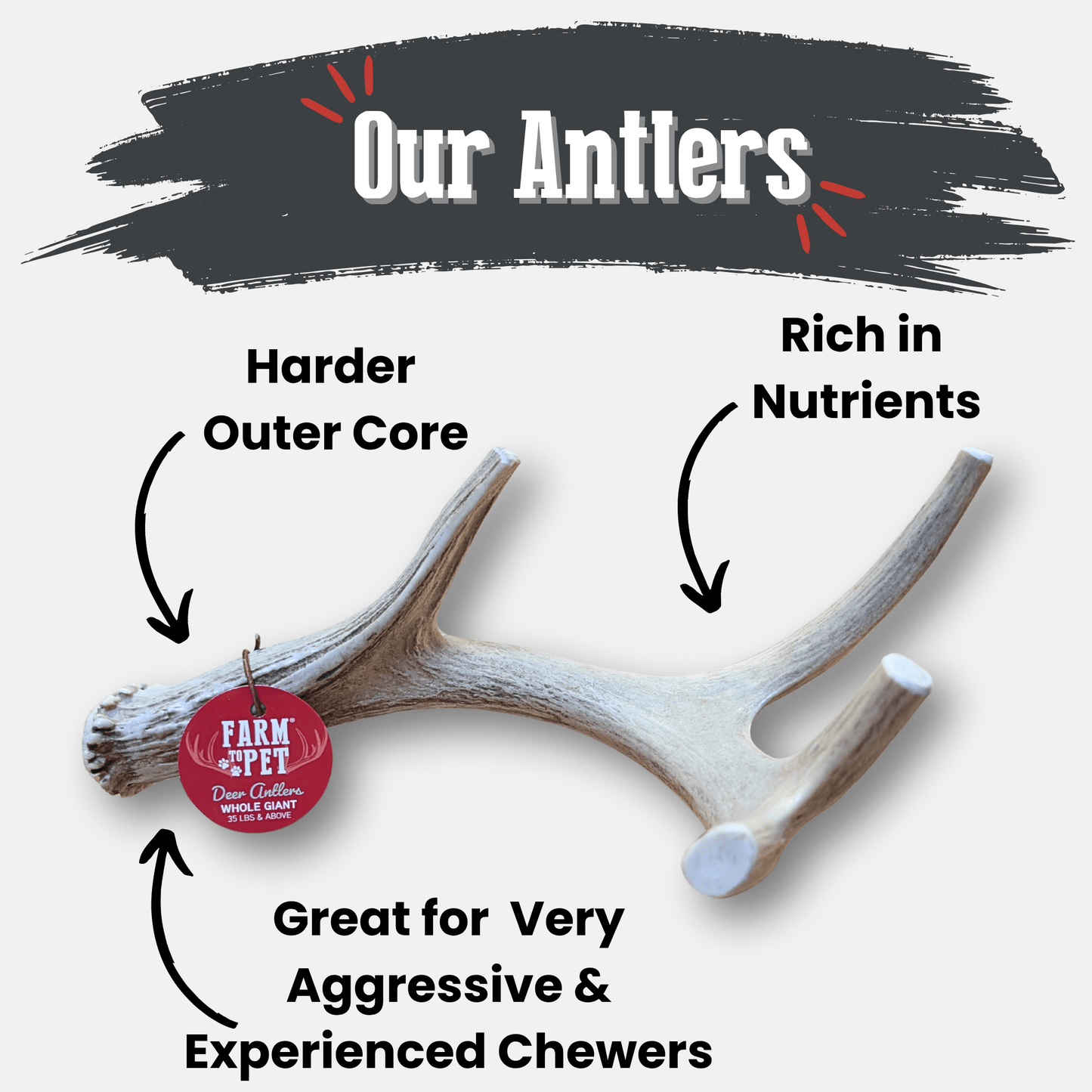 Marquise Pup | Wild Whitetail Deer Antler Chews