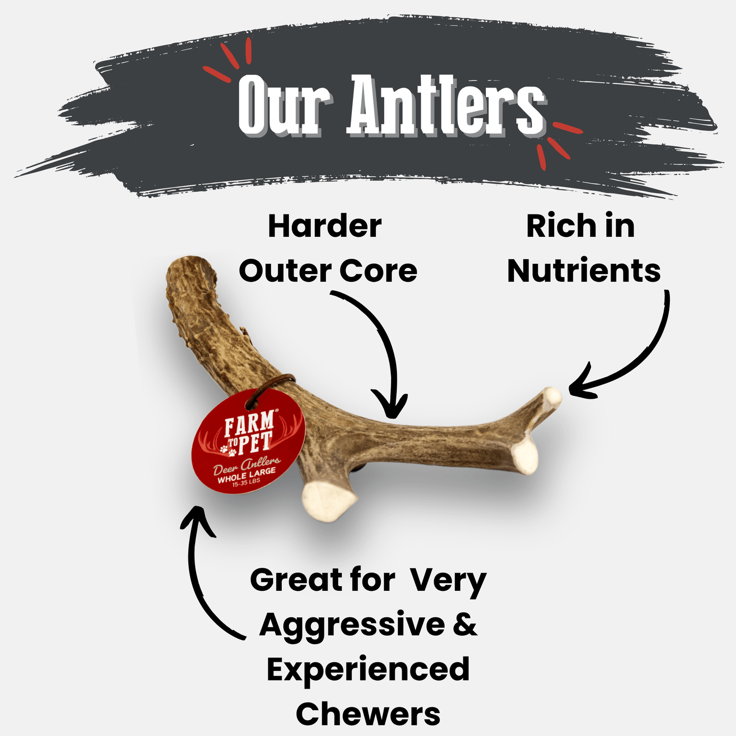 Marquise Pup | Wild Whitetail Deer Antler Chews