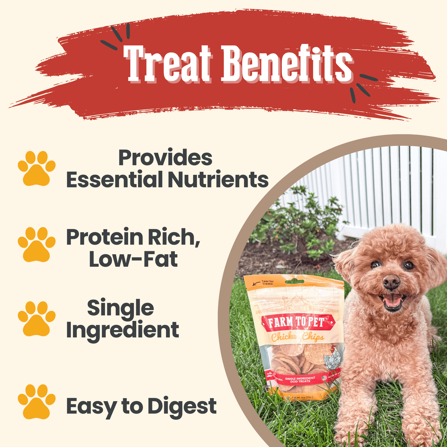 Marquise Pup | Pure Chicken Chips — Single-Ingredient Dog Treats