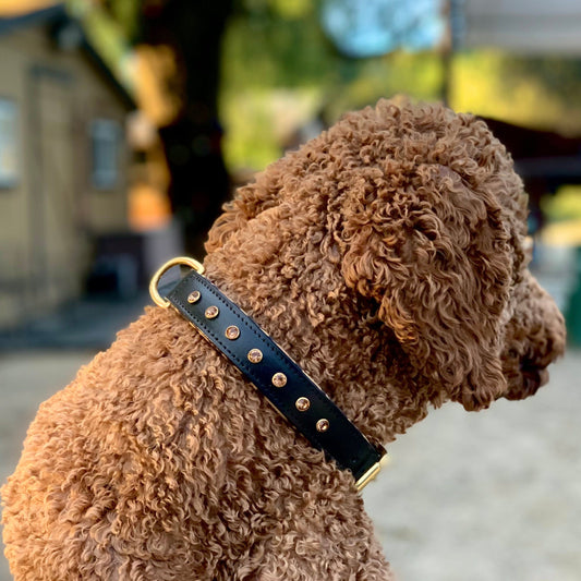 Marquise Pup | The Safari Collar — Black Leather with Leopard Print & Topaz Crystals