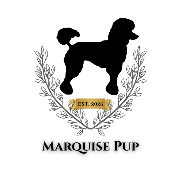 Marquise Pup