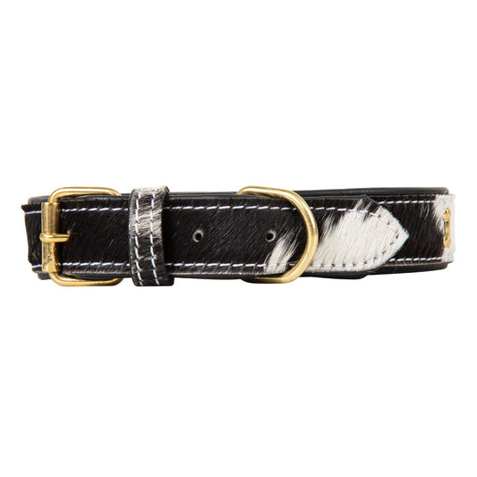 Marquise Pup | The Monterey Collar — Hair-on-Hide with Gold Bone Accents