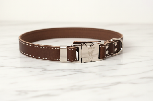 Rich chocolate leather dog collar with white stitching and silver buckle on white marble